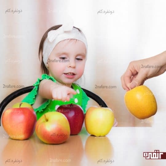 شمارش اشیاء