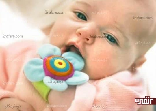 اسباب بازی جویدنی مچی