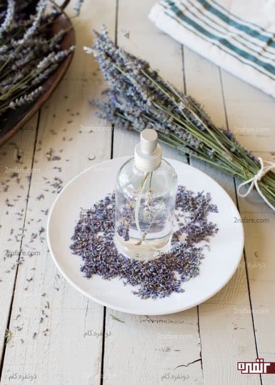 اسطوخودوس دارای رایحه ای عالی و دلنشین