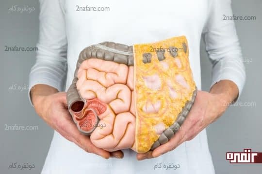 با بیماریهای گوارشی خداحافظی کنین