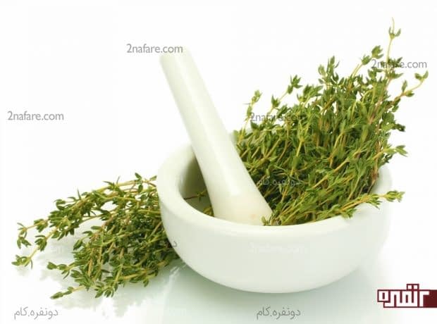خواص آویشن برای بدن خواص آویشن برای بدن
