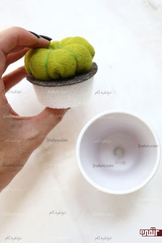 چسباندن کاکتوس ها روی اسفنج