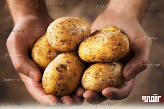 سیب زمینی برای رفع تیرگی زانو و آرنج