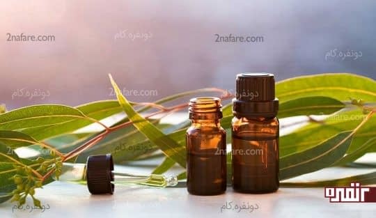روغن اکالیپتوس برای درمان خانگی خلط سینه