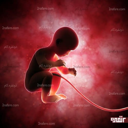 ذرات دارو از طریق جفت وارد خون جنین میشود
