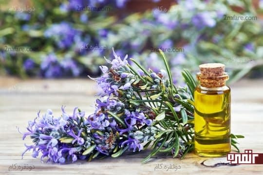 روغن رزماری تاثیر شگفت انگیزی بر پوست داره