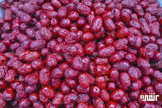 سنجد و خواصش بر درمان آرتروز