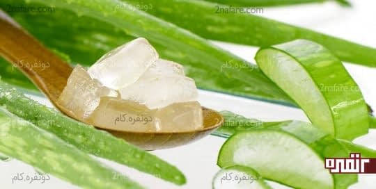 آلو ورا برای رفع تیرگی زانو و آرنج
