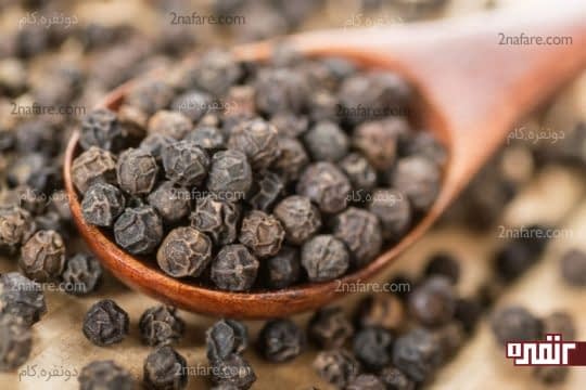 فلفل سیاه هم در جذب غذا و هم در تقویت اشتها موثره