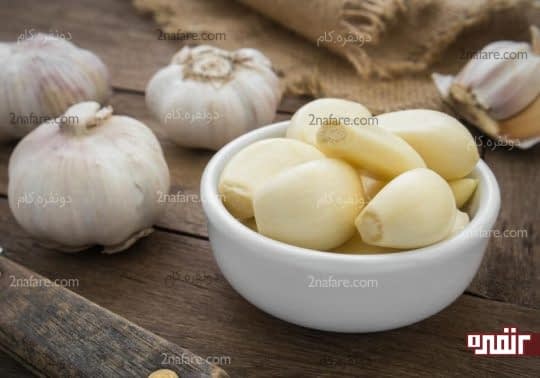 سیر درمانی مناسب برای عفونت خون