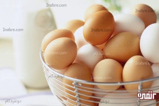 تخم مرغ های پوست قهوه ای و سفید هیچ فرقی باهم ندارند