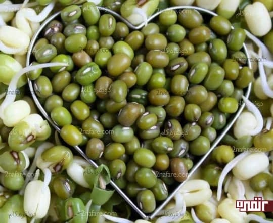 ماش درمانی مناسب برای عفونت خون