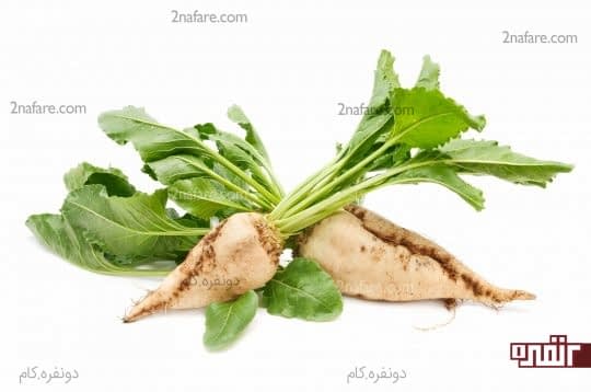 چغندر قند