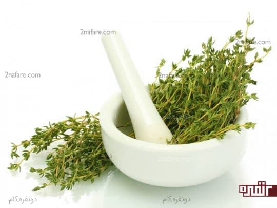 آویشن