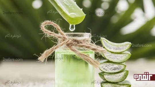 آلوئه ورا