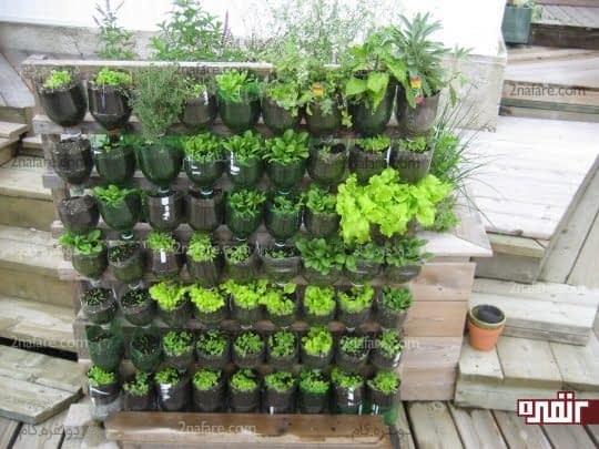 استفاده از بطری های پلاستیکی و ایجاد یه باغچه ی عمودی برای کاشت سبزی
