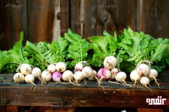 بهتره تا از بوته های کوچکتر شلغم استفاده کنیم