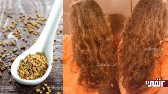 تاثیر شنبلیله بر روی موی سر