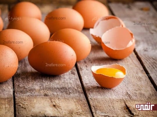 تخم مرغ منبع غنی پروتئین برای رشد و تغذیه مو