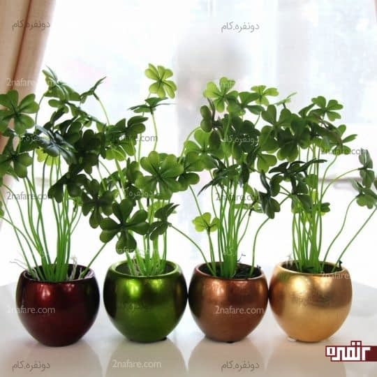 در انتخاب اندازه ی گلدانها دقت کنید