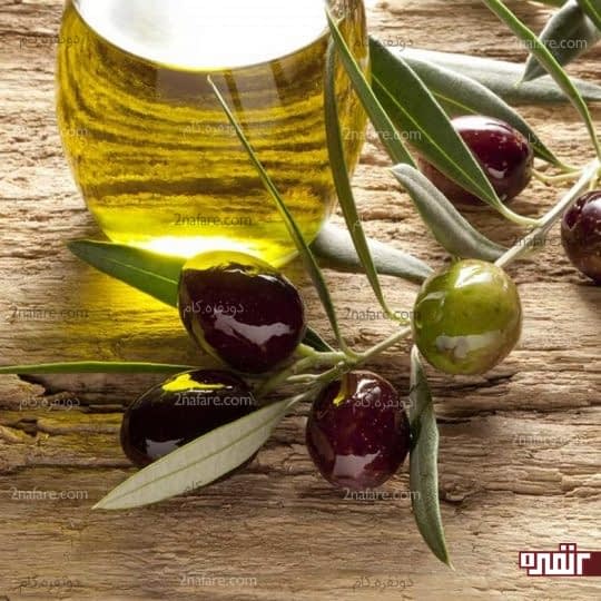 رابطه ی روغن های گیاهی با چربی خون