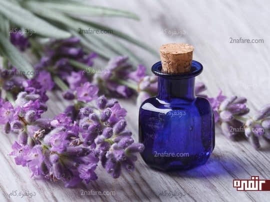 روش خانگی موثر در درمان سوختگی با روغن اسطوخودوس
