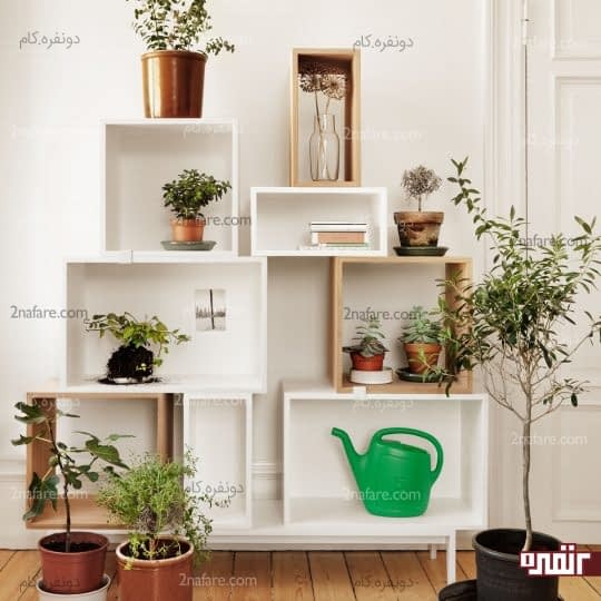 زیبایی گل ها در دکور چوبی و سفید رنگ
