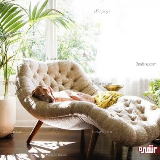 صندلی راحتی برای استراحت
