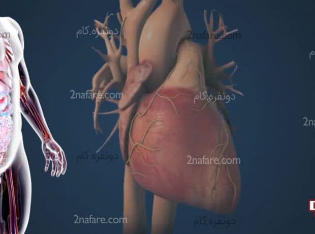 علائم چربی خون بالا در بدن علائم چربی خون بالا در بدن