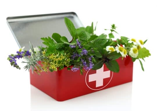گیاهان دارویی جایگزین داروهای شیمیایی