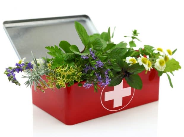 کدوم گیاهان دارویی جایگزین مناسب داروهای شیمیایی هستند؟ گیاهان دارویی جایگزین داروهای شیمیایی