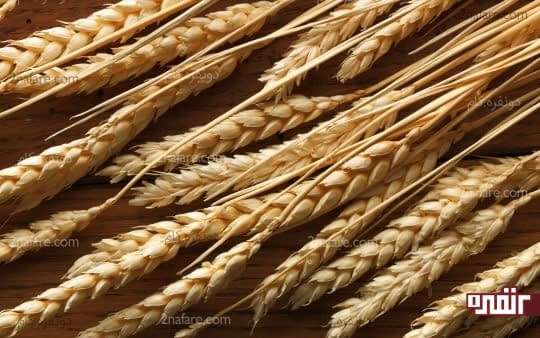 جو به تنظیم جذب گلوکز کمک میکنه