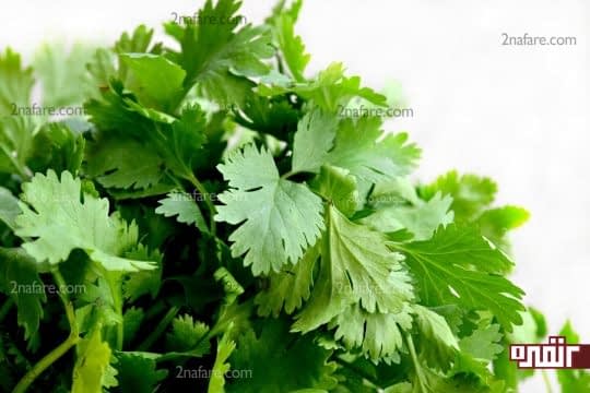 گشنیز درمان خانگی مسمومیت غذایی