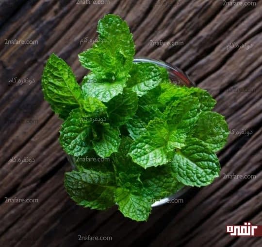 نعنا درمان خانگی مسمومیت غذایی