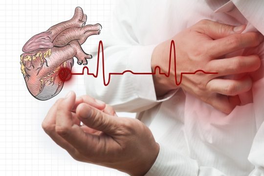 از بیماریهای قلبی جلوگیری میکند