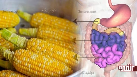جلوگیری از هموروئید (بواسیر)