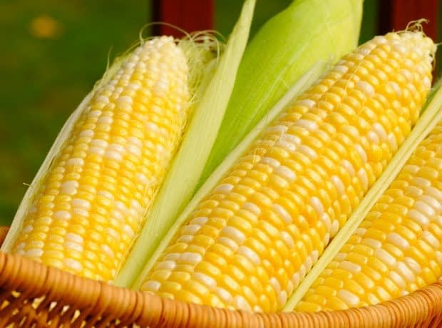 خواص ذرت برای بدن خواص ذرت برای بدن