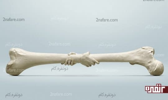 سلامت استخوان را با خوردن نخود تضمین کنید