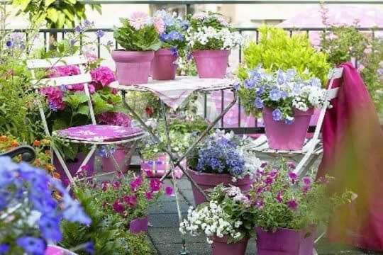 مبلمانی زیبا با طرحی ظریف در بین گل ها