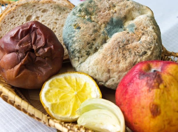 چگونه جلوی کپک زدن مواد غذایی رو بگیریم؟ چگونه جلوی کپک زدن مواد غذایی رو بگیریم؟