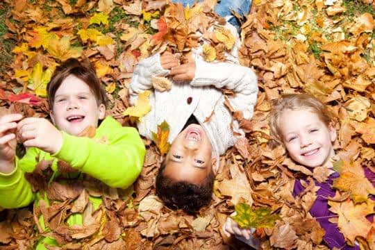 ژستهای تکرای نشدنی در طبیعت