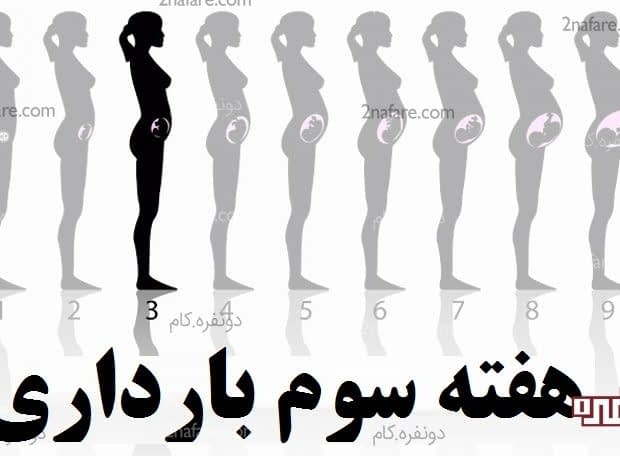 هفته سوم بارداری – لانه گزینی جنین و تغییرات بدن هفته سوم بارداری