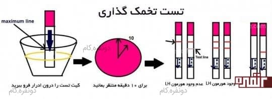 کیت تخمک گذاری