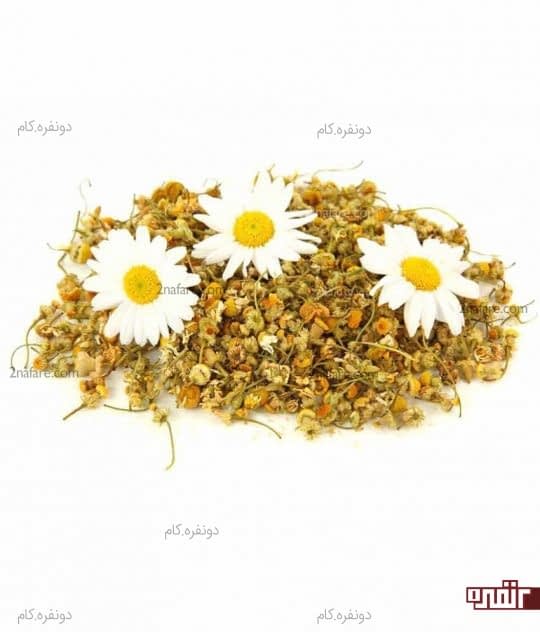 گل بابونه