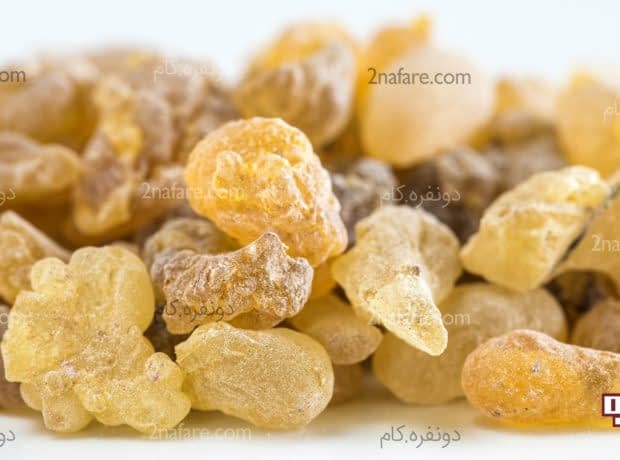 6 فایده ی مصرف کندر در طب سنتی و طب اهل بیت کندر