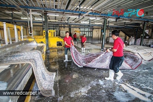 قالیشویی فرش قرمز