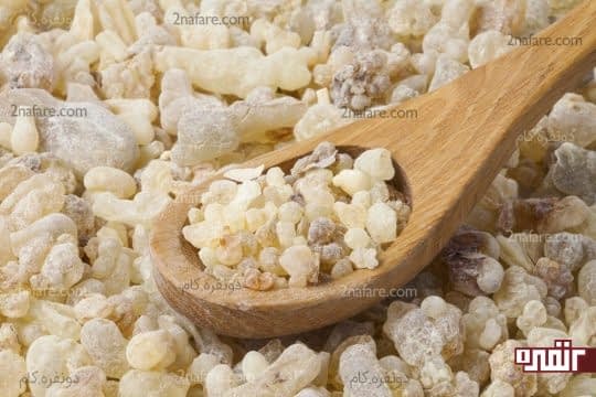 کندر پر خاصیت و بی ضرر