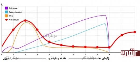 تغییرات هورمونی بدن شما در هفته سوم بارداری