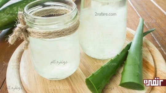 آلوئه ورا