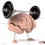ورزش کردن چه تأثیری بر مغز دارد؟